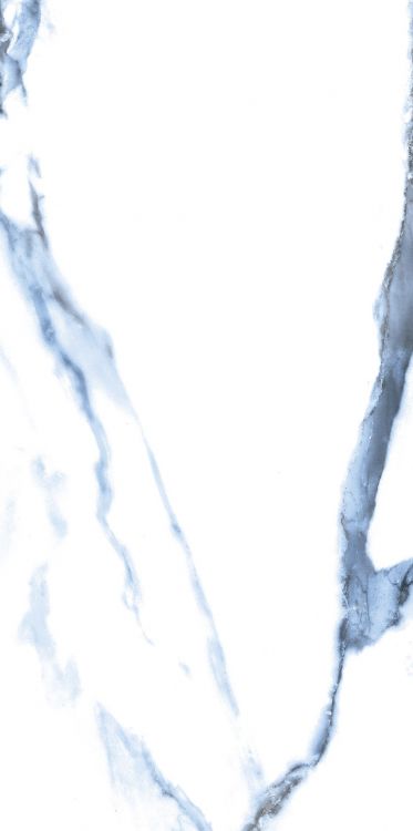 Calacatta Blue Matte 12 x 24